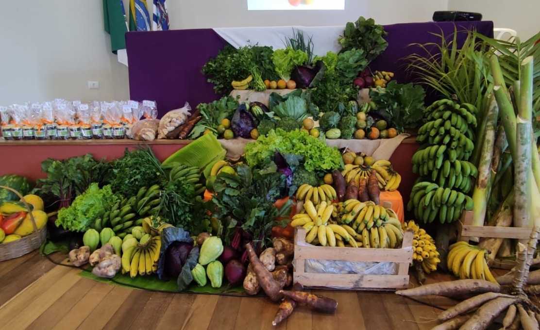Antonina Realiza A I I Conferência Municipal De Segurança Alimentar