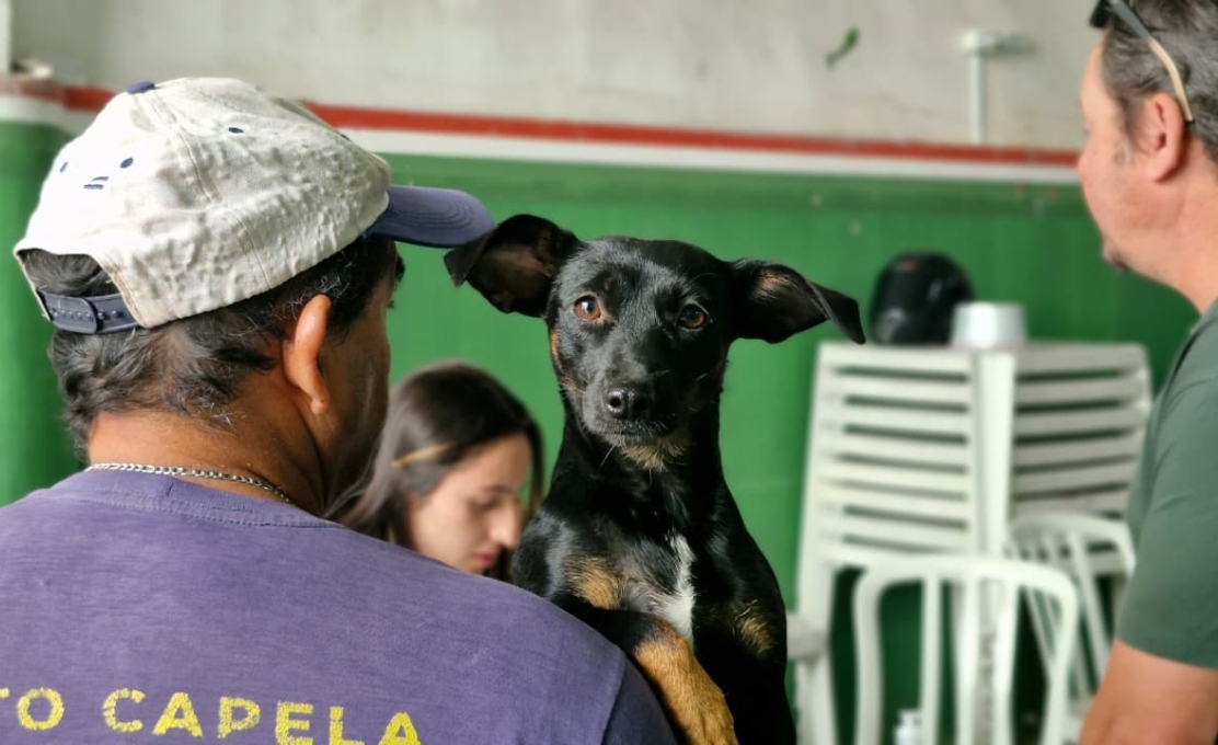 CastraPet Paraná atende mais de 170 animais em Antonina