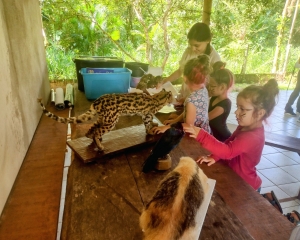 img20250327101106094hdr2.jpg