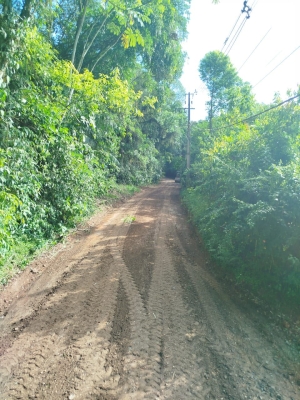 Prefeitura de Antonina Inicia Manutenção na Rua José Pereira da Cruz (Estrada do Tucunduva/Portinho)