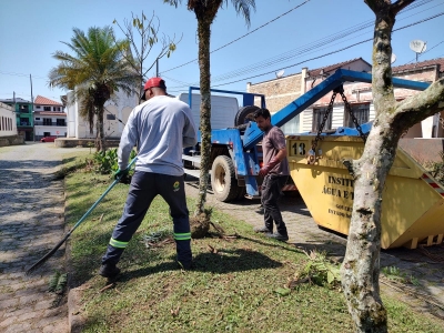 Atenção Motoristas, Prefeitura de Antonina realiza Poda de Árvores em vias centrais