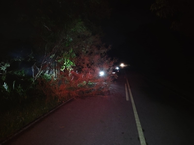 Prefeitura de Antonina realiza atendimento e remoção de árvores caídas em comunidades rurais