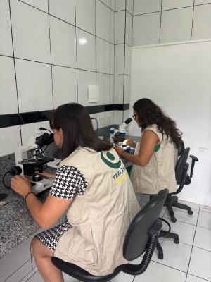 Prefeitura de Antonina reforça ações de combate ao Aedes aegypti