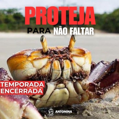 Encerrada a temporada de captura do caranguejo-uçá no Litoral do Paraná