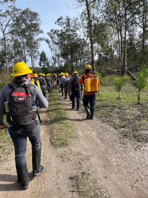Defesa Civil de Antonina participa de curso de combate a incêndios florestais