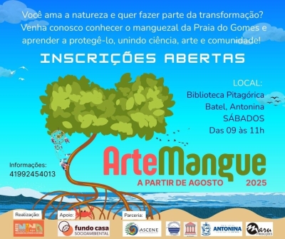 Projeto ArteMangue oferece curso gratuito sobre conservação dos manguezais em Antonina