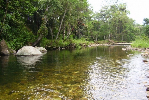 Foto de Rio do Nunes