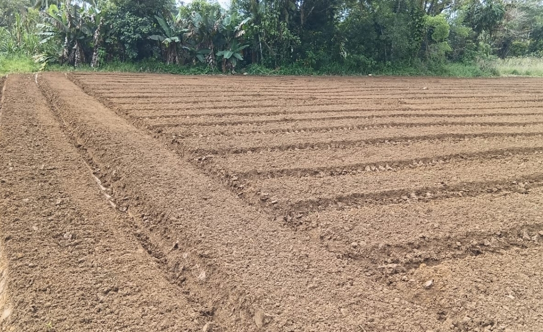 Intensificação dos trabalhos na área rural de Antonina