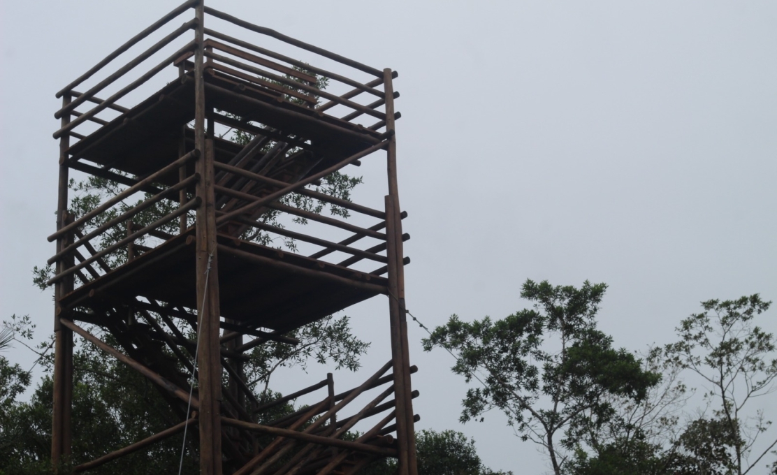 Torre de observação de aves representa avanço para conservação e turismo em Antonina 