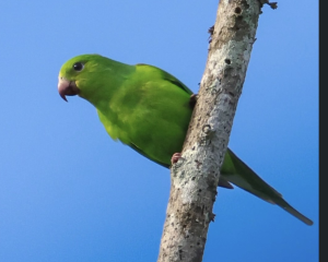 img8635.png