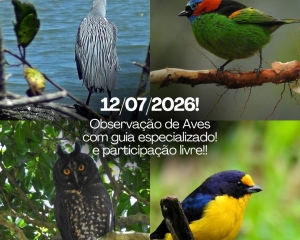 whatsapp-image-2026-07-08-at-173649.jpeg