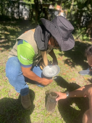 Prefeitura de Antonina realiza mutirão de combate à dengue e prevenção