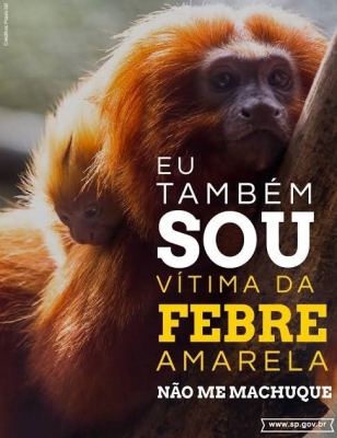 Ministério da Saúde alerta para aumento da transmissão da Febre Amarela