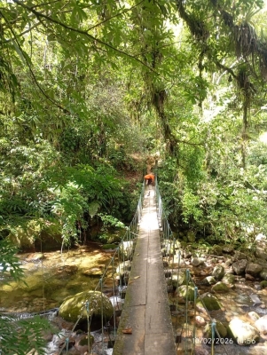 Ponte Pênsil é revitalizada e garante mais segurança e mobilidade na área rural de Antonina