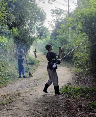 Prefeitura de Antonina intensifica serviços de limpeza e manutenção em bairros e escolas